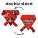 Patriot Stars