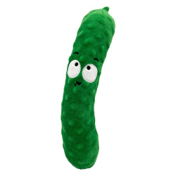 Food Fetchies - Dell Pickle