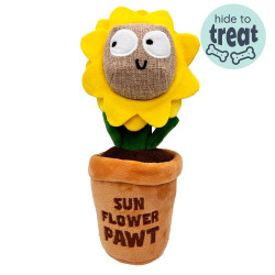 Seek 'n Treat Sunflower Pawt