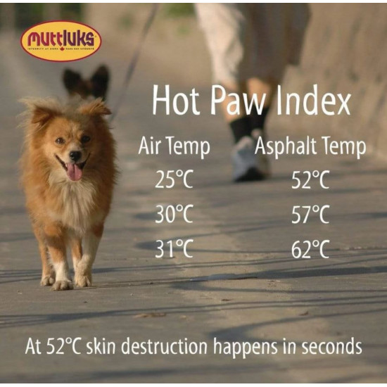 All Weather Muttluks