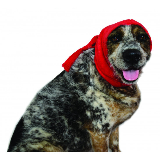 MuTTuque