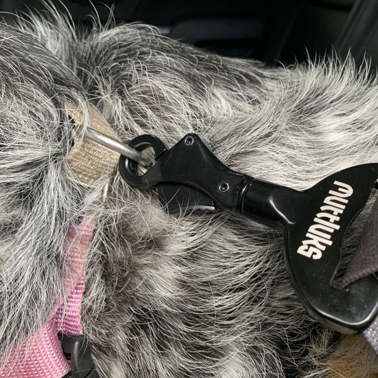 MuTTravel Seat Belt Clip