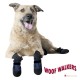Woof Walkers