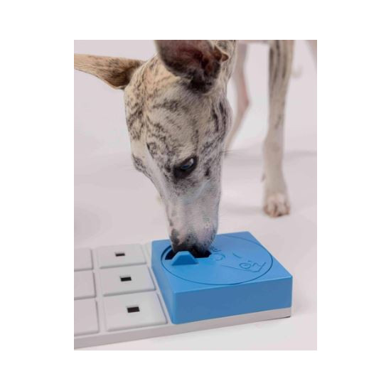 Individual Pawzle Boxes - Box 1