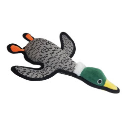 Farmhouse Mallard Duck