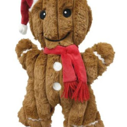 Christmas Gingerbread Man