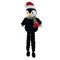 Christmas Long-legged Penguin