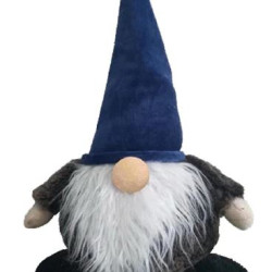 Blue Gnome