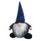 Blue Gnome