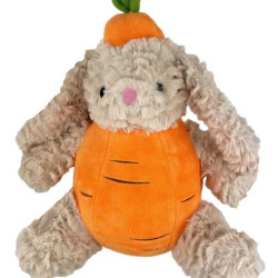 Carrot Rabbit