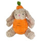 Carrot Rabbit