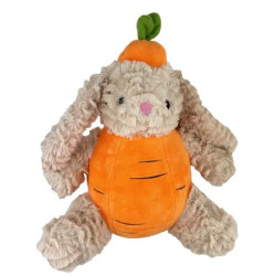 Carrot Rabbit