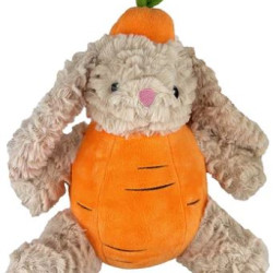 Carrot Rabbit