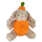 Carrot Rabbit