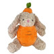 Carrot Rabbit