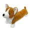 Corgi