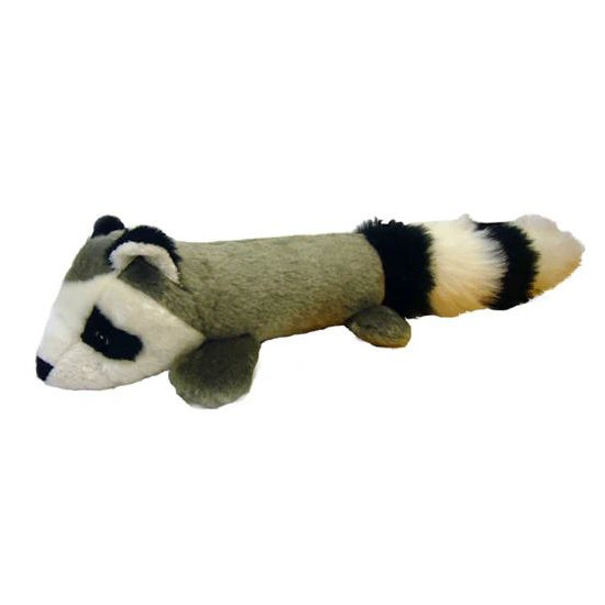 EZ Raccoon