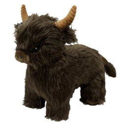 Highland Cow