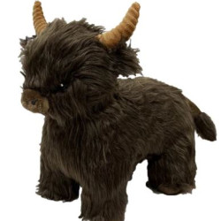 Highland Cow