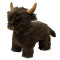 Highland Cow