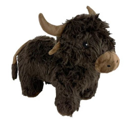 Highland Cow