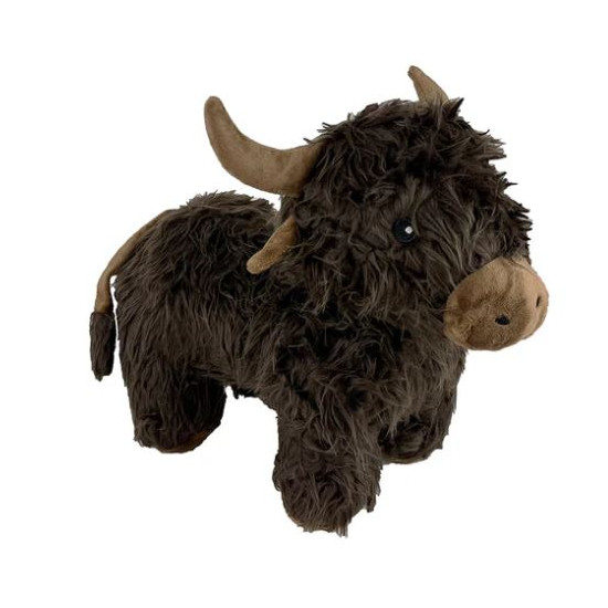 Highland Cow