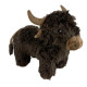 Highland Cow