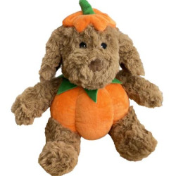 Pumpkin Dog