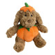 Pumpkin Dog