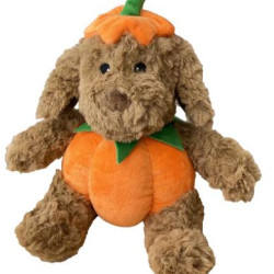Pumpkin Dog