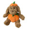 Pumpkin Dog