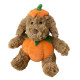 Pumpkin Dog