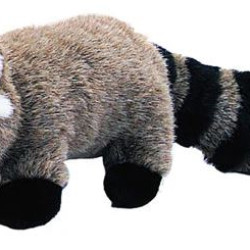 Raccoon - 8"