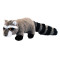 Raccoon - 8"