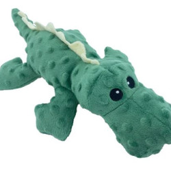 Crocodile