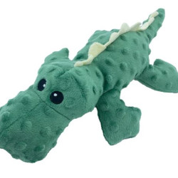 Crocodile