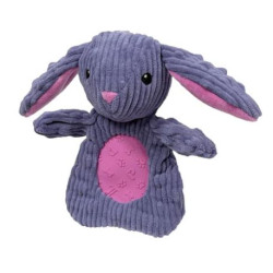 Pocket 3.0 - Rabbit