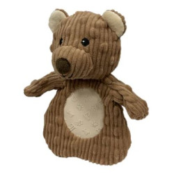 Pocket 3.0 - Teddy Bear