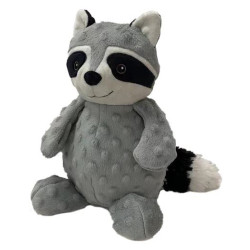 Raccoon