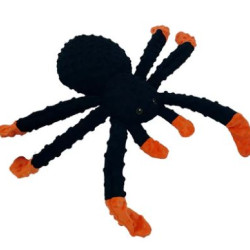 Dotty - Spider 2.0