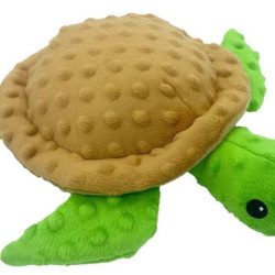 Tortoise