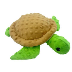 Tortoise