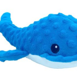 Whale