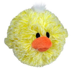 Chick