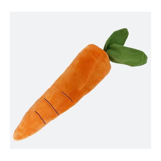 Carrot