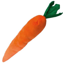 Carrot