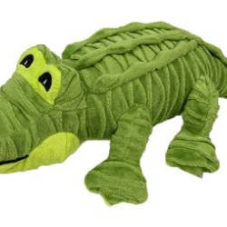 Alligator