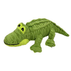 Alligator