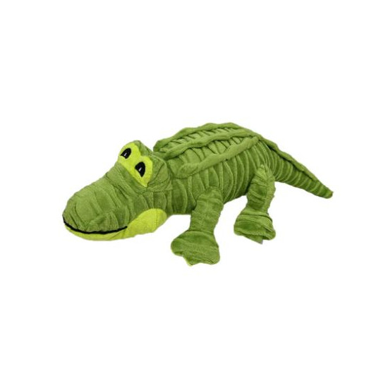 Alligator