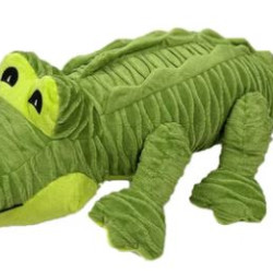 Alligator
